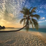 Profile picture of admin