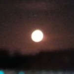 Group logo of free group